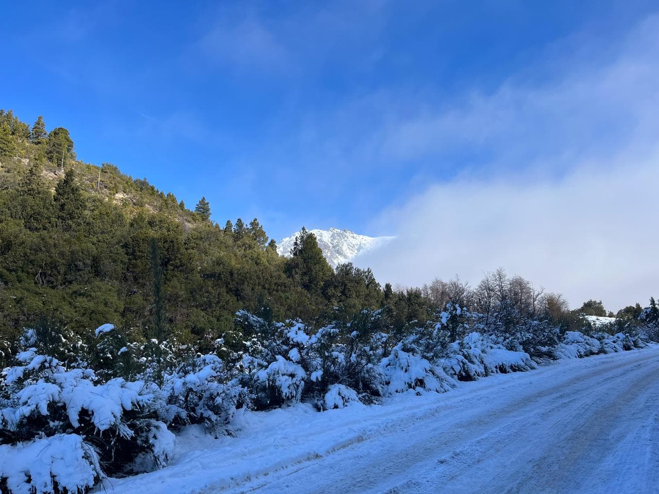 Activities on the mountain are not limited to skiing. There are several trails. From here starts the hike to Refugio Frey (10 km total from this point).