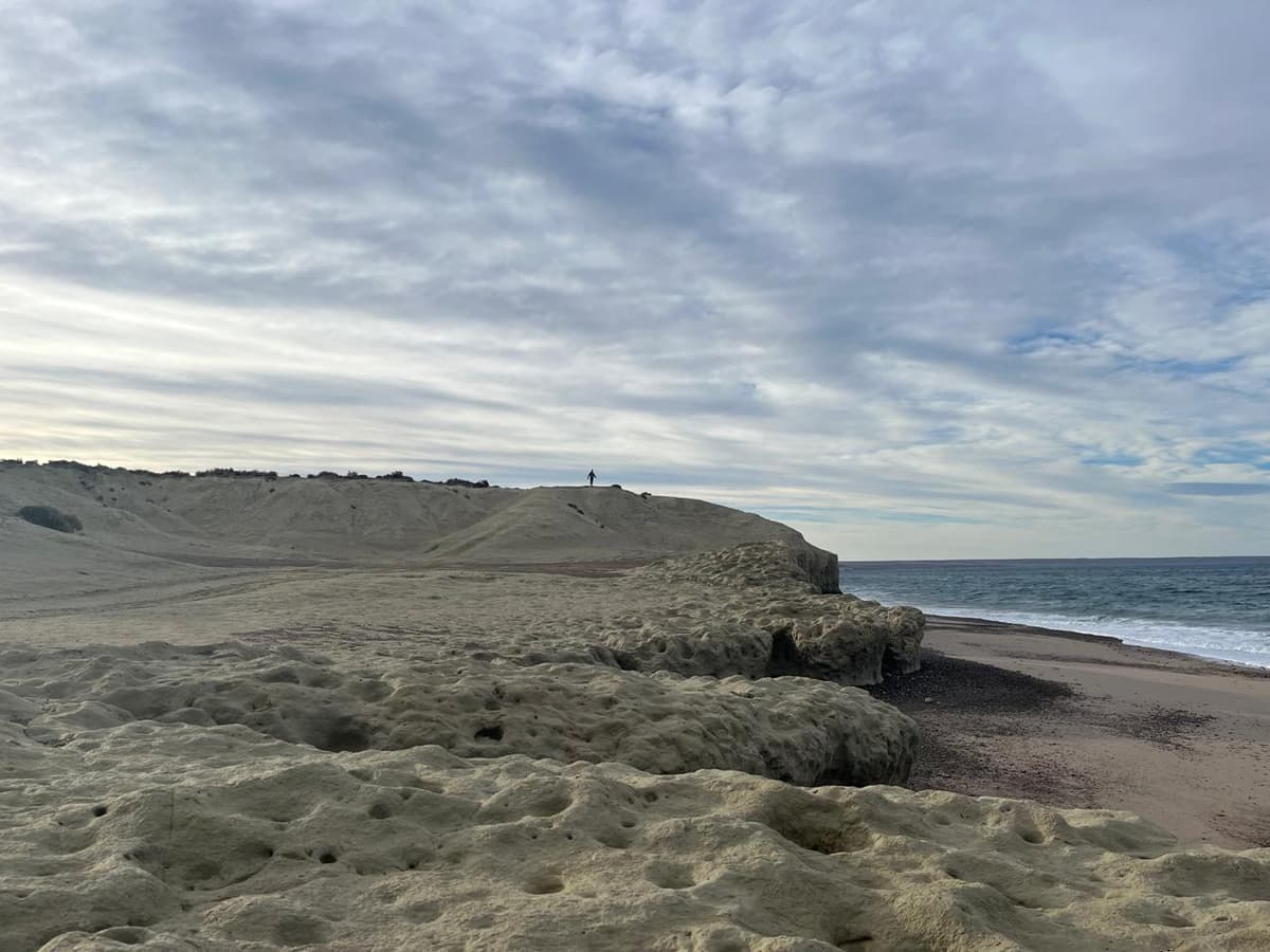 12 imperdibles de Puerto Madryn 2026: ballenas, fauna marina y naturaleza en la Patagonia atlántica - Imagen 2