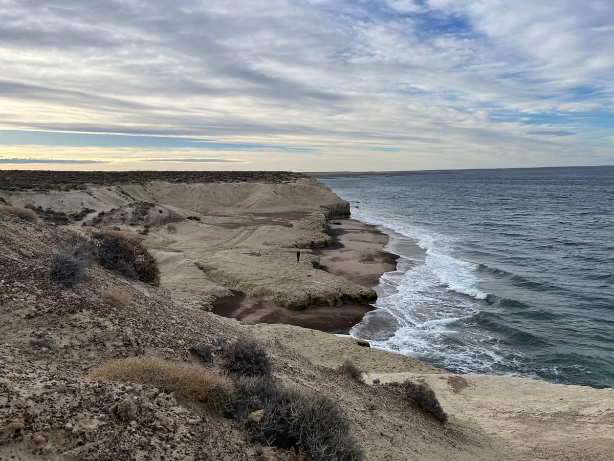 12 imperdibles de Puerto Madryn 2026: ballenas, fauna marina y naturaleza en la Patagonia atlántica - Imagen 17