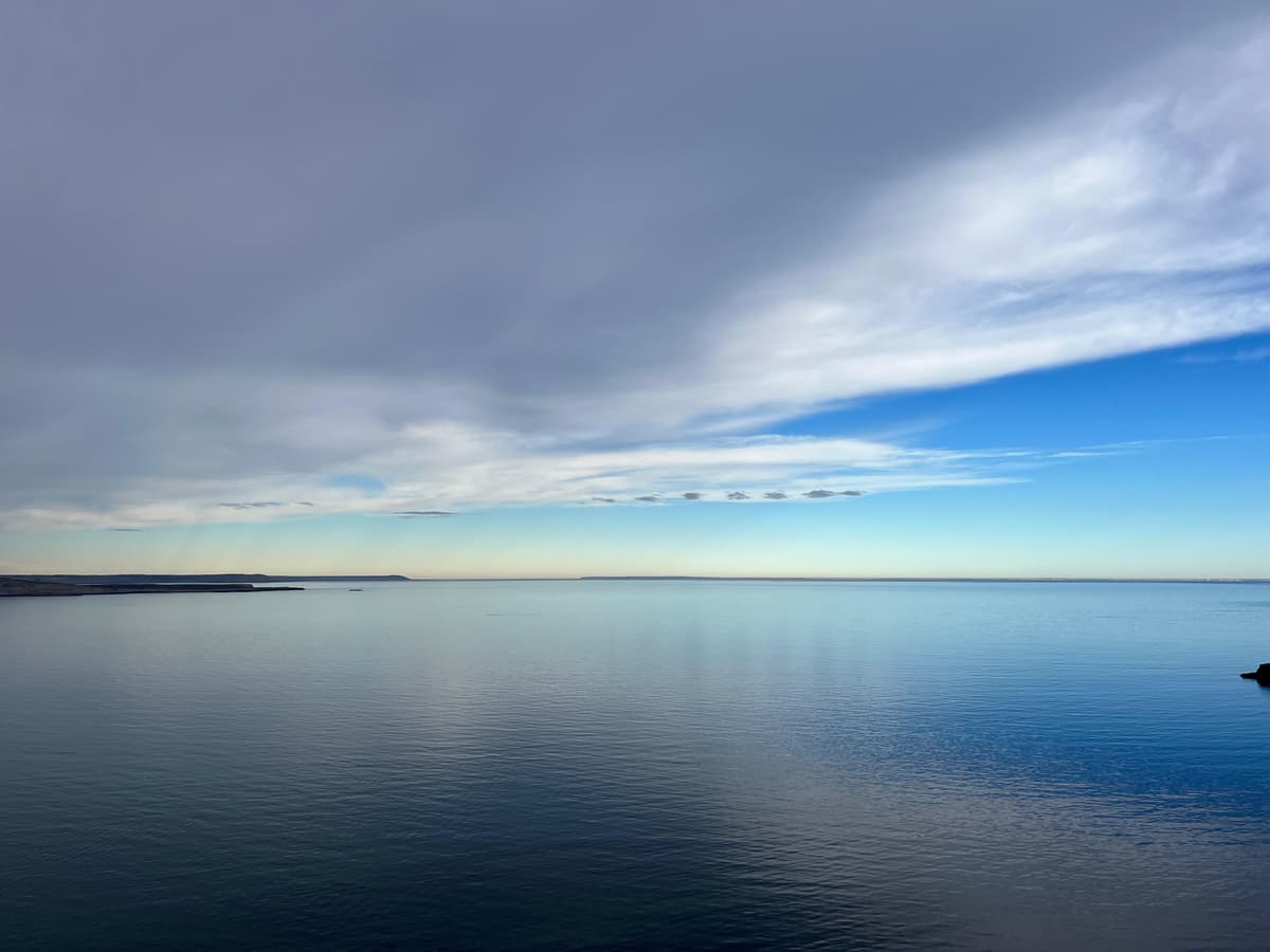 12 imperdibles de Puerto Madryn 2026: ballenas, fauna marina y naturaleza en la Patagonia atlántica - Imagen 20