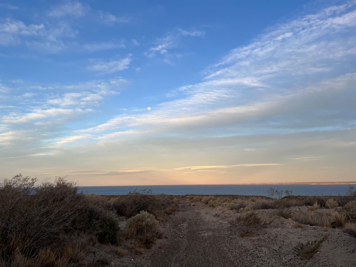 12 imperdibles de Puerto Madryn 2026: ballenas, fauna marina y naturaleza en la Patagonia atlántica - Imagen 21