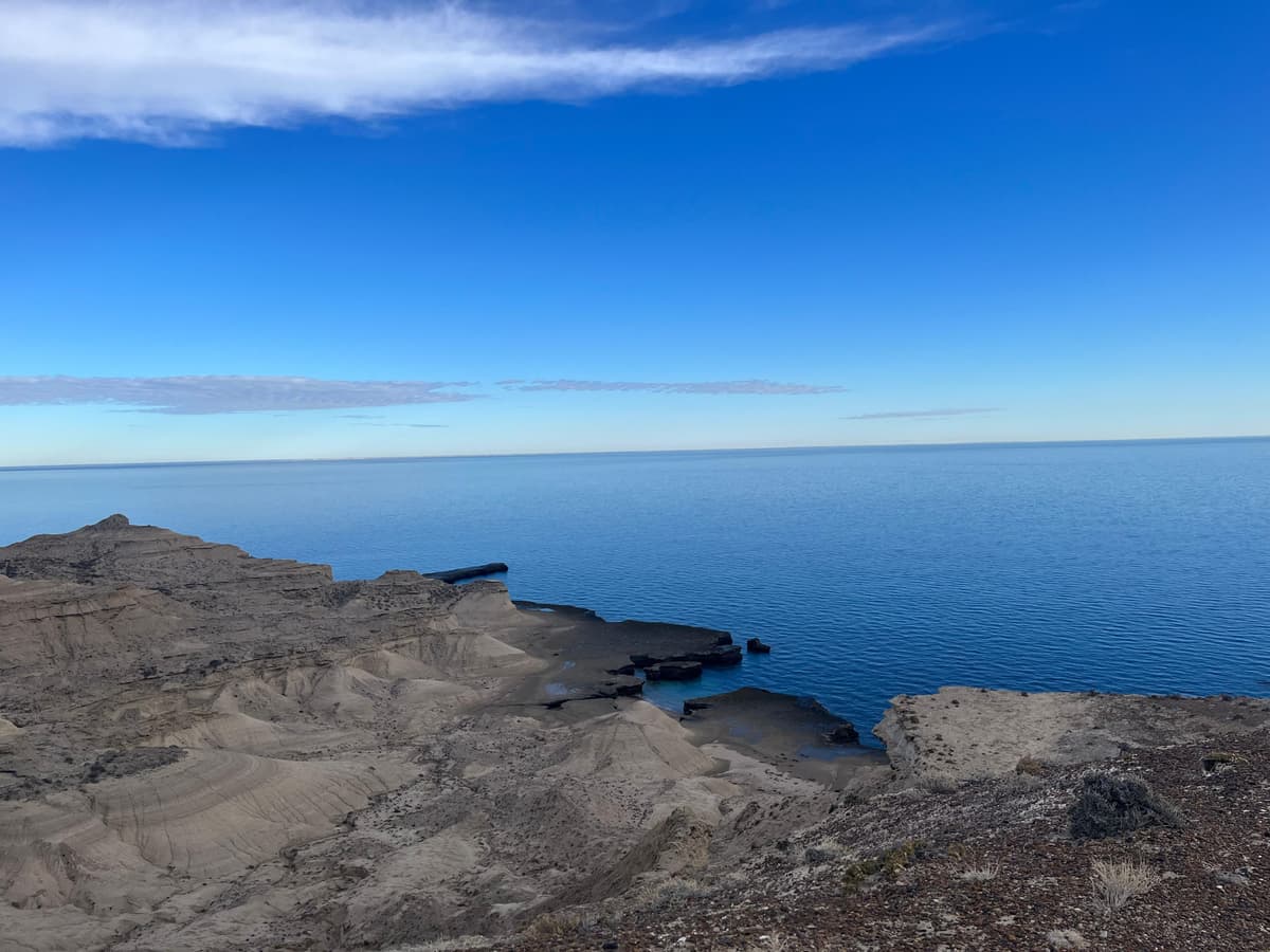 12 imperdibles de Puerto Madryn 2026: ballenas, fauna marina y naturaleza en la Patagonia atlántica - Imagen 22