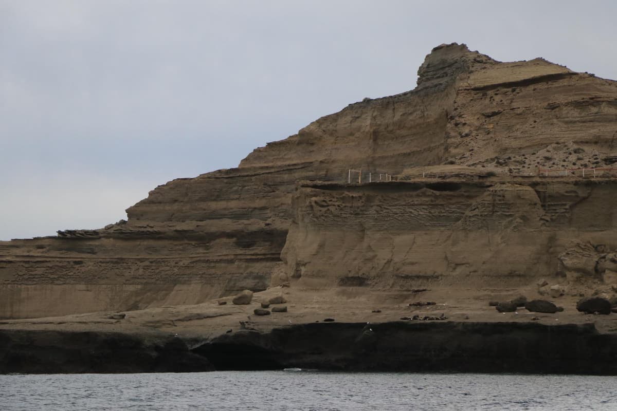 12 imperdibles de Puerto Madryn 2026: ballenas, fauna marina y naturaleza en la Patagonia atlántica - Imagen 23