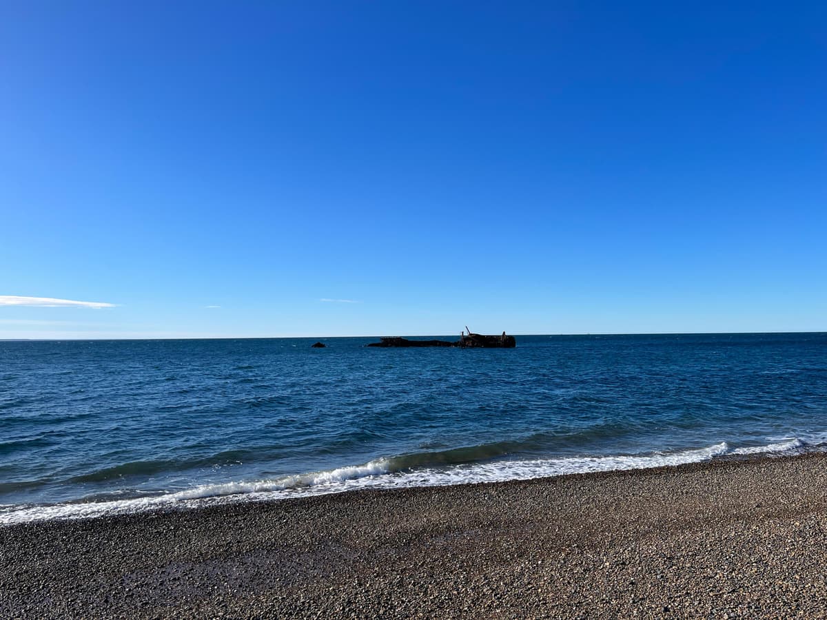 12 imperdibles de Puerto Madryn 2026: ballenas, fauna marina y naturaleza en la Patagonia atlántica - Imagen 27