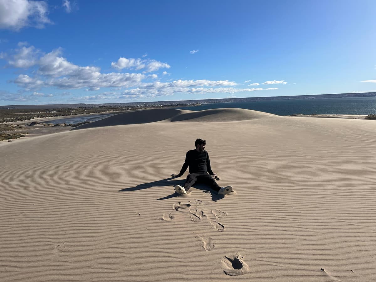 12 imperdibles de Puerto Madryn 2026: ballenas, fauna marina y naturaleza en la Patagonia atlántica - Imagen 29