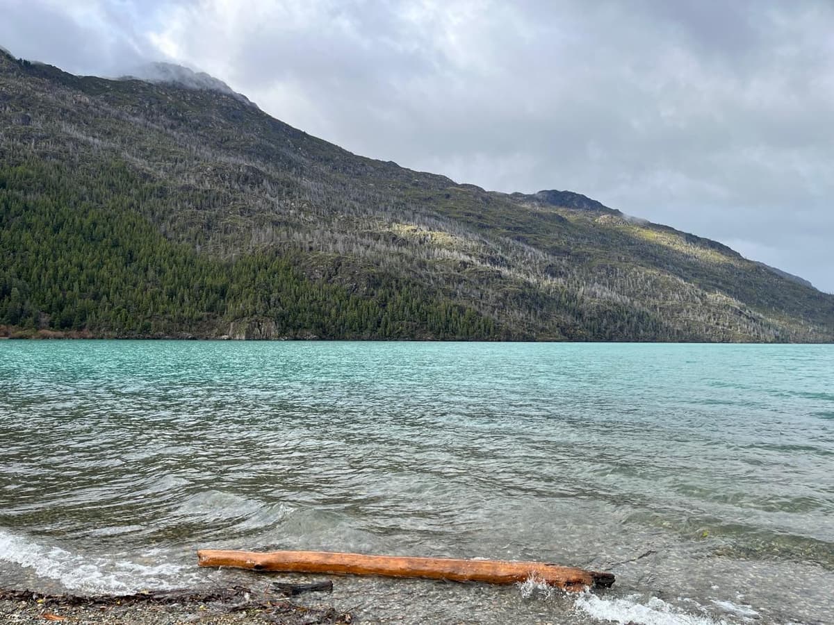 5 actividades imperdibles y tips para Lago Puelo: microclima, playas y senderos en el Parque Nacional - Imagen 11