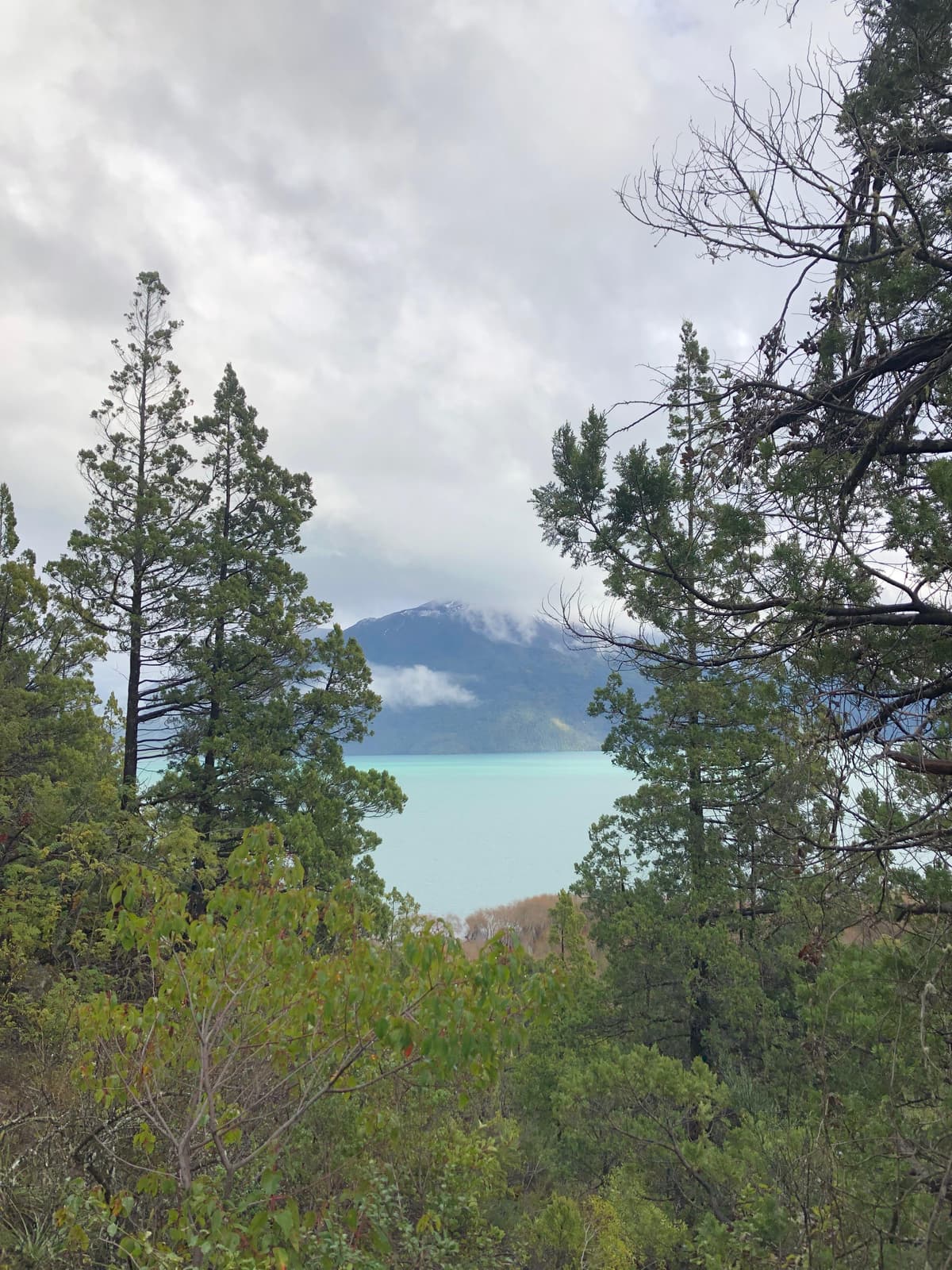 5 actividades imperdibles y tips para Lago Puelo: microclima, playas y senderos en el Parque Nacional - Imagen 8