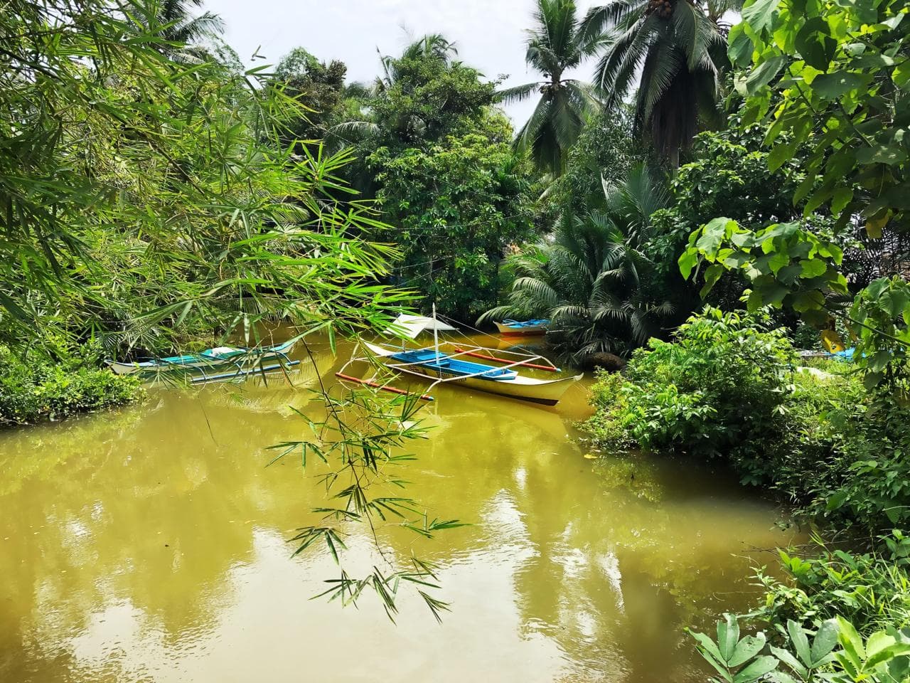 Water taxi connecting jungle and coastal points in Belize.