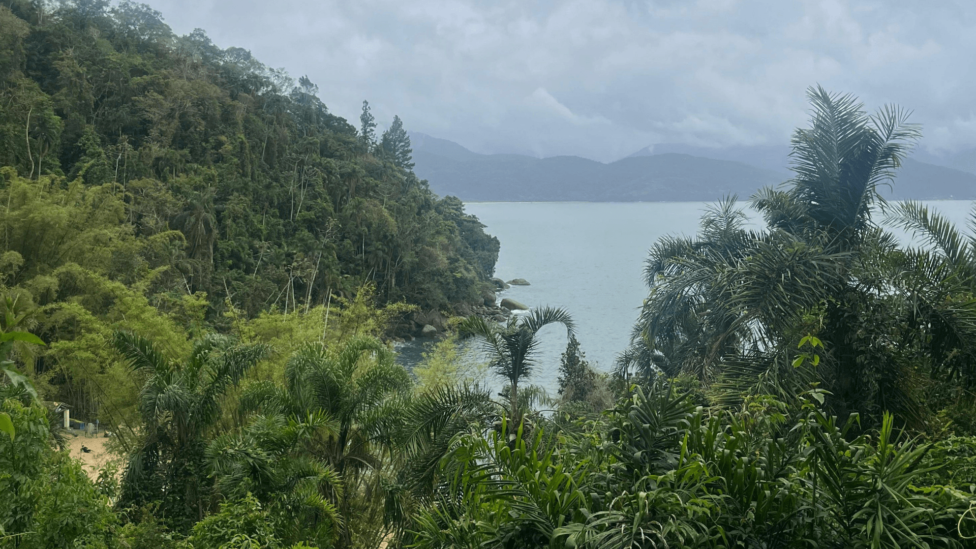 Ubatuba: playas, selva atlántica y naturaleza en el litoral de Brasil