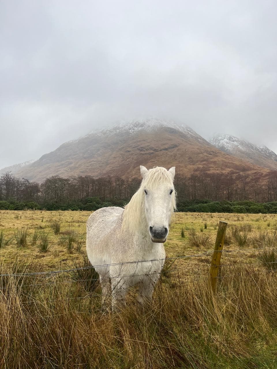 Guía de Glencoe 2026: Qué ver, senderos y miradores en el valle escocés - Imagen 6