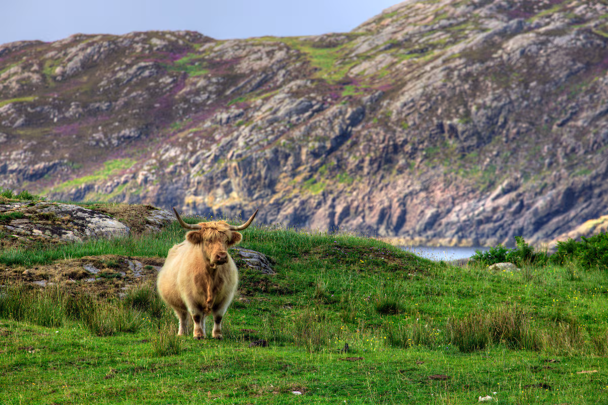 Guía de las Highlands: qué ver en las Tierras Altas de Escocia - Imagen 9