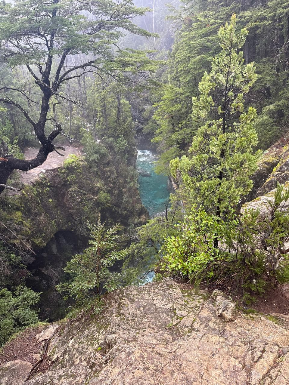 7 actividades para El Bolsón 2026: trekking, refugios y cultura artesanal en la Patagonia - Imagen 9