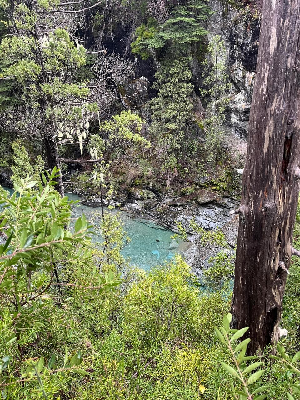 7 actividades para El Bolsón 2026: trekking, refugios y cultura artesanal en la Patagonia - Imagen 13