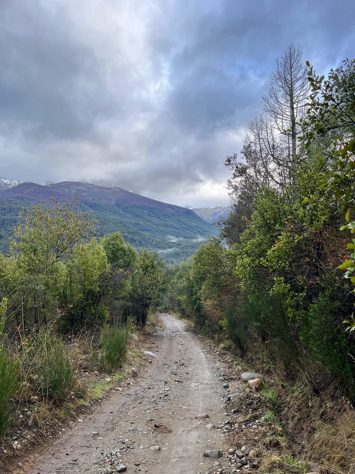 7 actividades para El Bolsón 2026: trekking, refugios y cultura artesanal en la Patagonia - Imagen 23