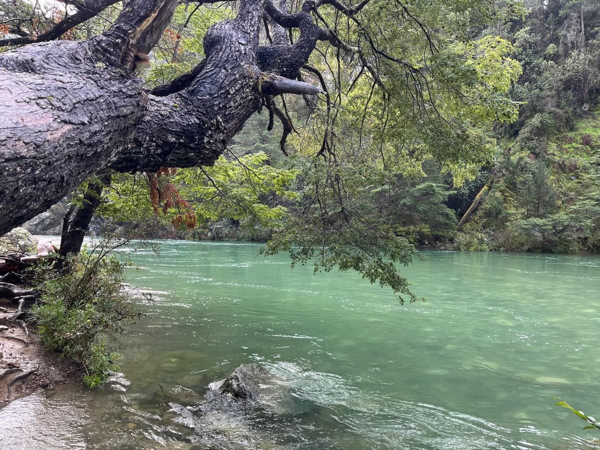 7 actividades para El Bolsón 2026: trekking, refugios y cultura artesanal en la Patagonia - Imagen 5
