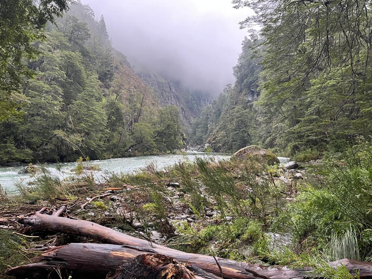 7 actividades para El Bolsón 2026: trekking, refugios y cultura artesanal en la Patagonia - Imagen 7