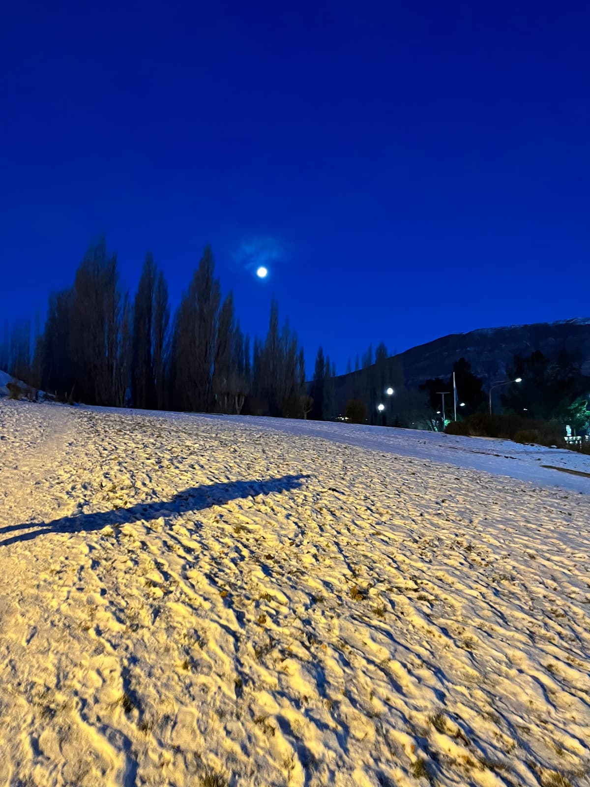 El Calafate: 7 imperdibles para hacer entre glaciares, Patagonia y naturaleza extrema - Imagen 7