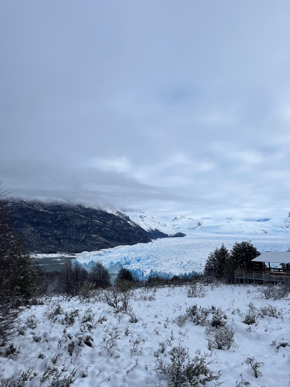 El Calafate: 7 imperdibles para hacer entre glaciares, Patagonia y naturaleza extrema - Imagen 18