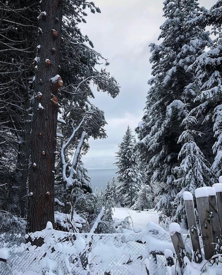 Complete guide to exploring Circuito Chico in Bariloche - Imagen 2