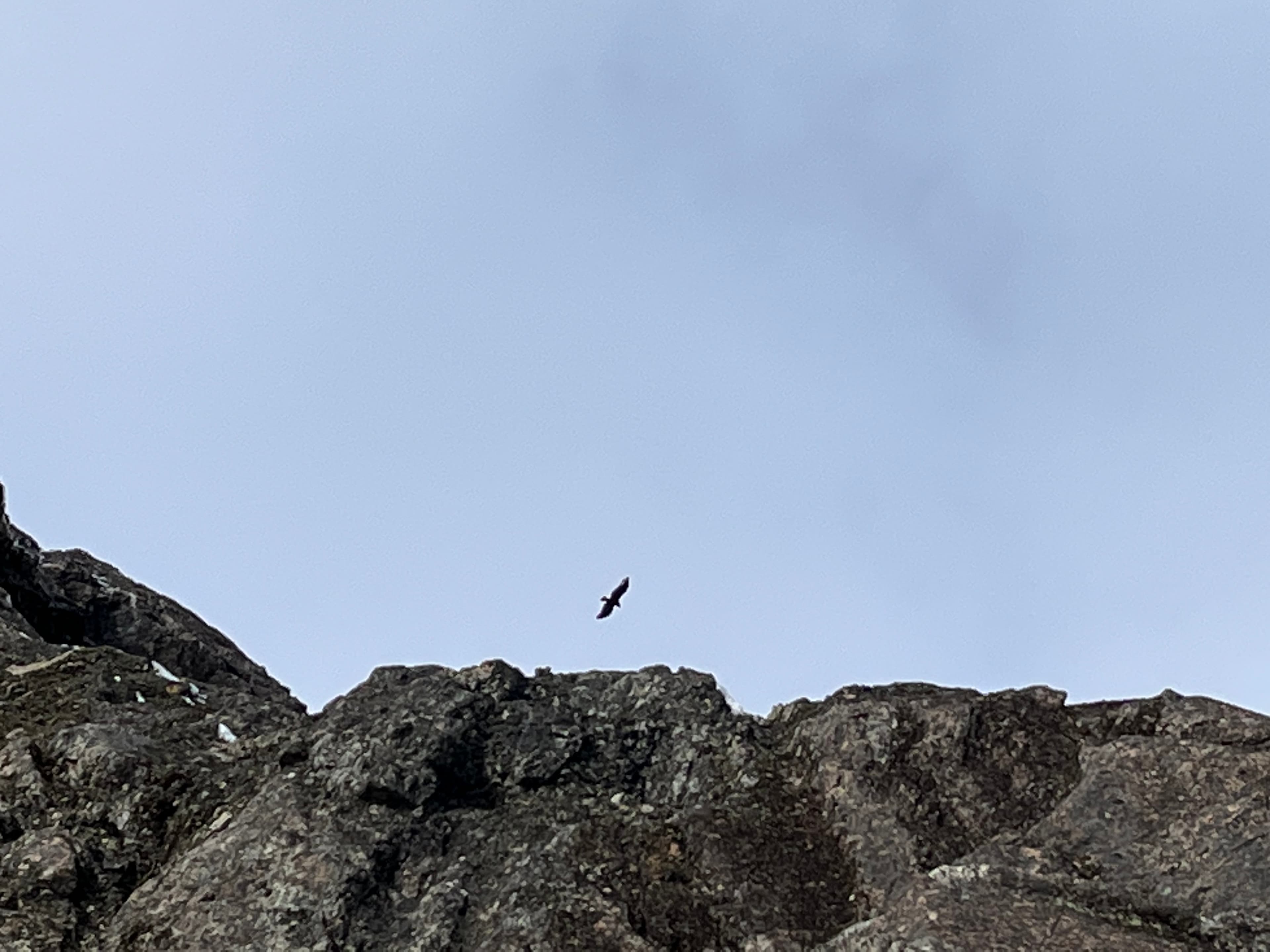 If you look up, you might see Andean condors flying.