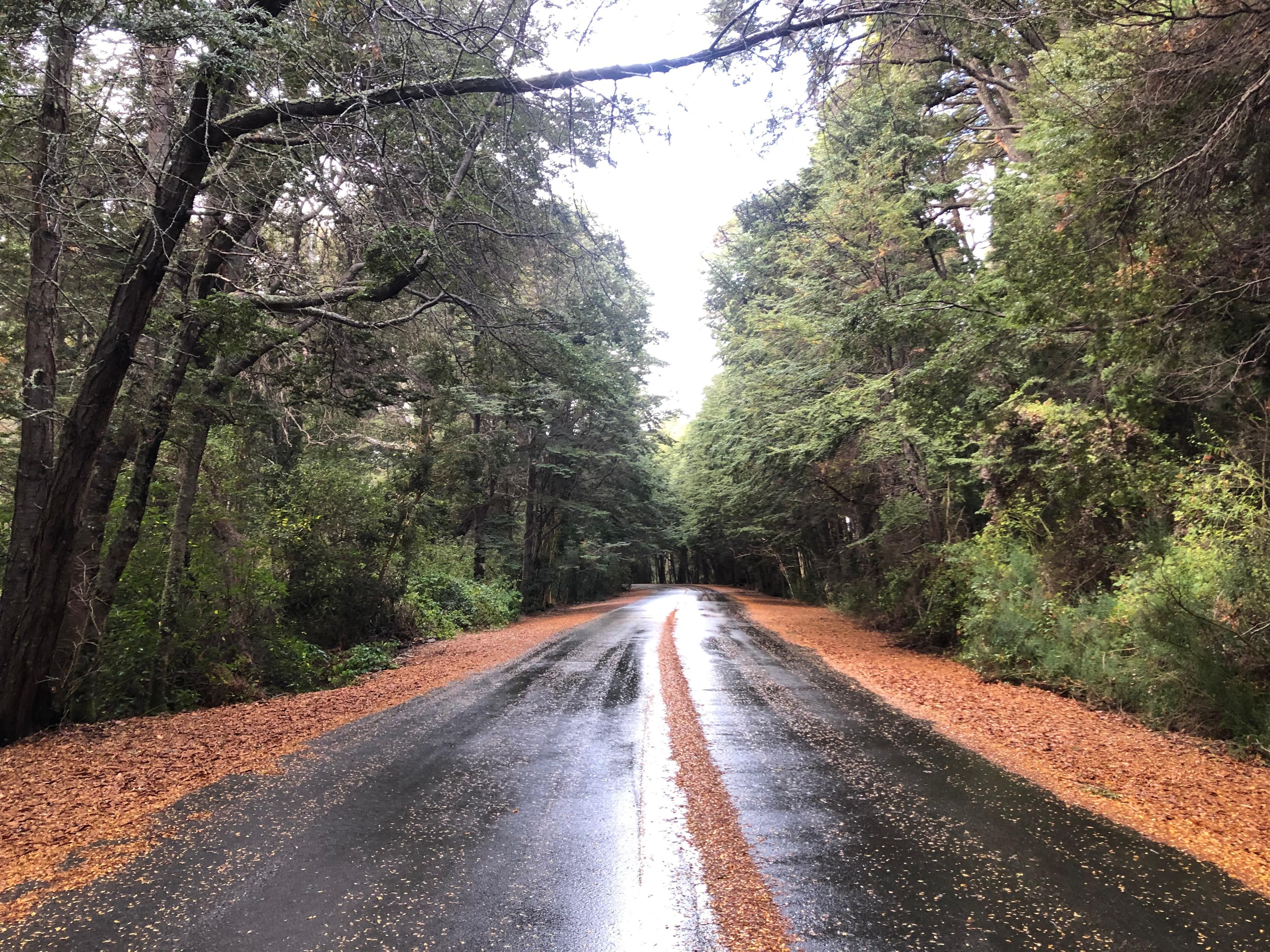 The circuit can be done in both directions, but it is recommended to start from Bariloche city center towards Llao Llao Hotel.