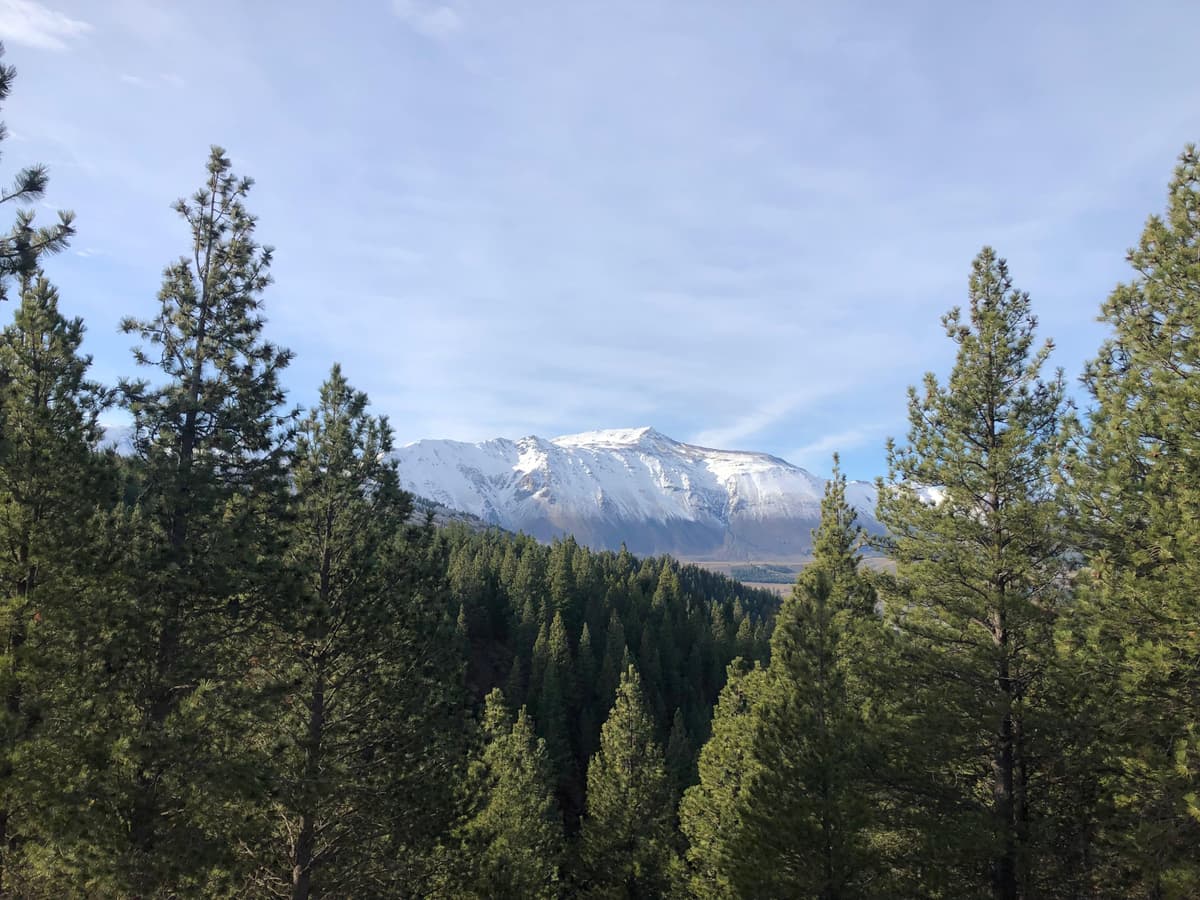 Los imperdibles de Esquel: guías para principales atractivos, parques nacionales y vida de montaña - Imagen 4