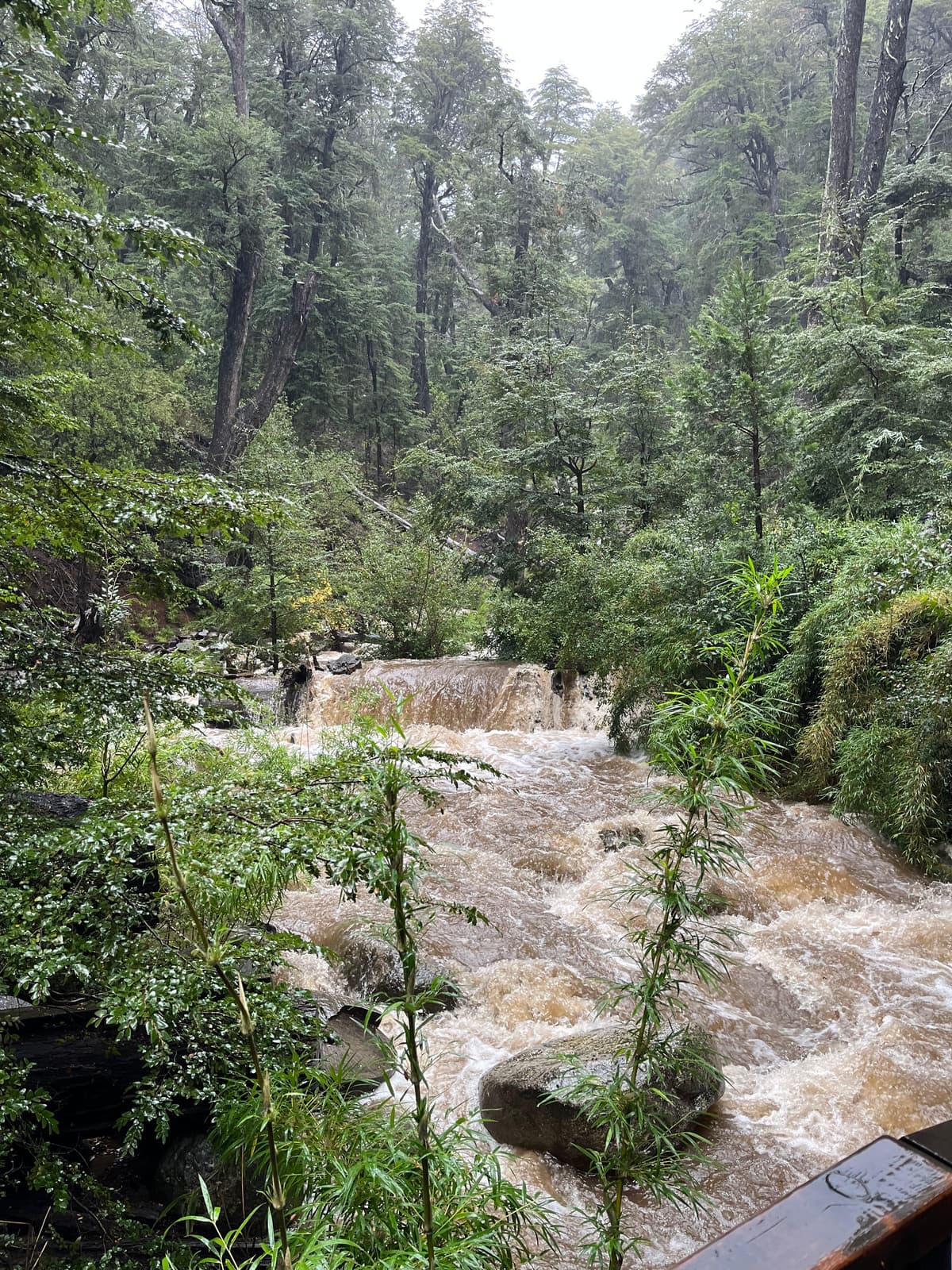 Guía completa para visitar el Lago Gutiérrez y la Cascada de los Duendes en Bariloche - Imagen 1