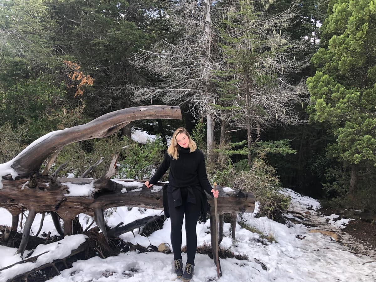 Guía completa para visitar el Lago Gutiérrez y la Cascada de los Duendes en Bariloche - Imagen 7