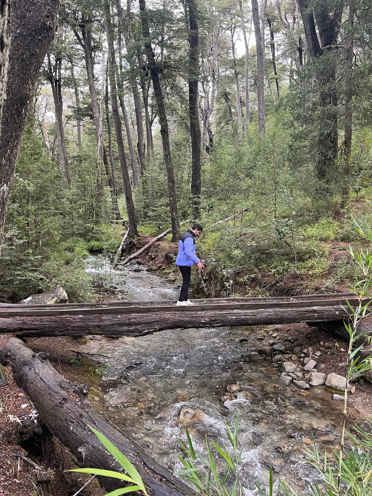 Guía completa para visitar el Lago Gutiérrez y la Cascada de los Duendes en Bariloche - Imagen 6
