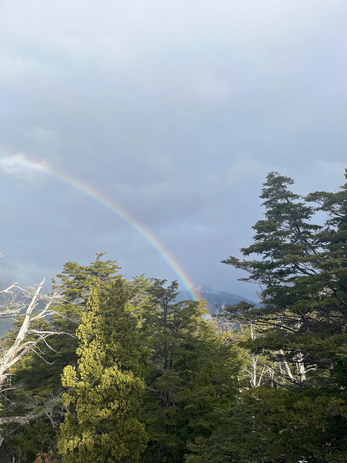 Guía completa para visitar el Lago Gutiérrez y la Cascada de los Duendes en Bariloche - Imagen 9
