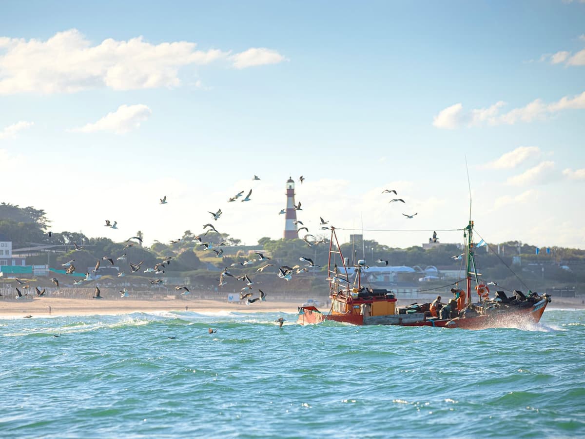 Qué hacer en Mar del Plata 2026: 15 imperdibles, mapa de playas y qué comer - Imagen 9