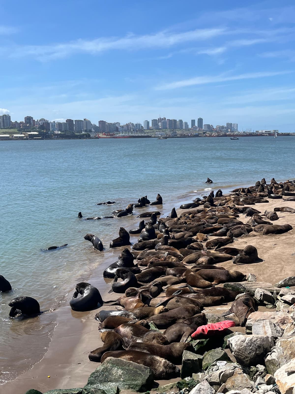 Qué hacer en Mar del Plata 2026: 15 imperdibles, mapa de playas y qué comer - Imagen 6