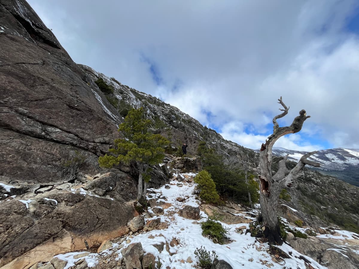 Guía completa para hacer el trekking al Mirador Brazo Tristeza en Bariloche - Imagen 3