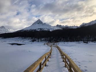 Ushuaia 2026: 10 imperdibles y cómo vivir el fin del mundo - Imagen 14