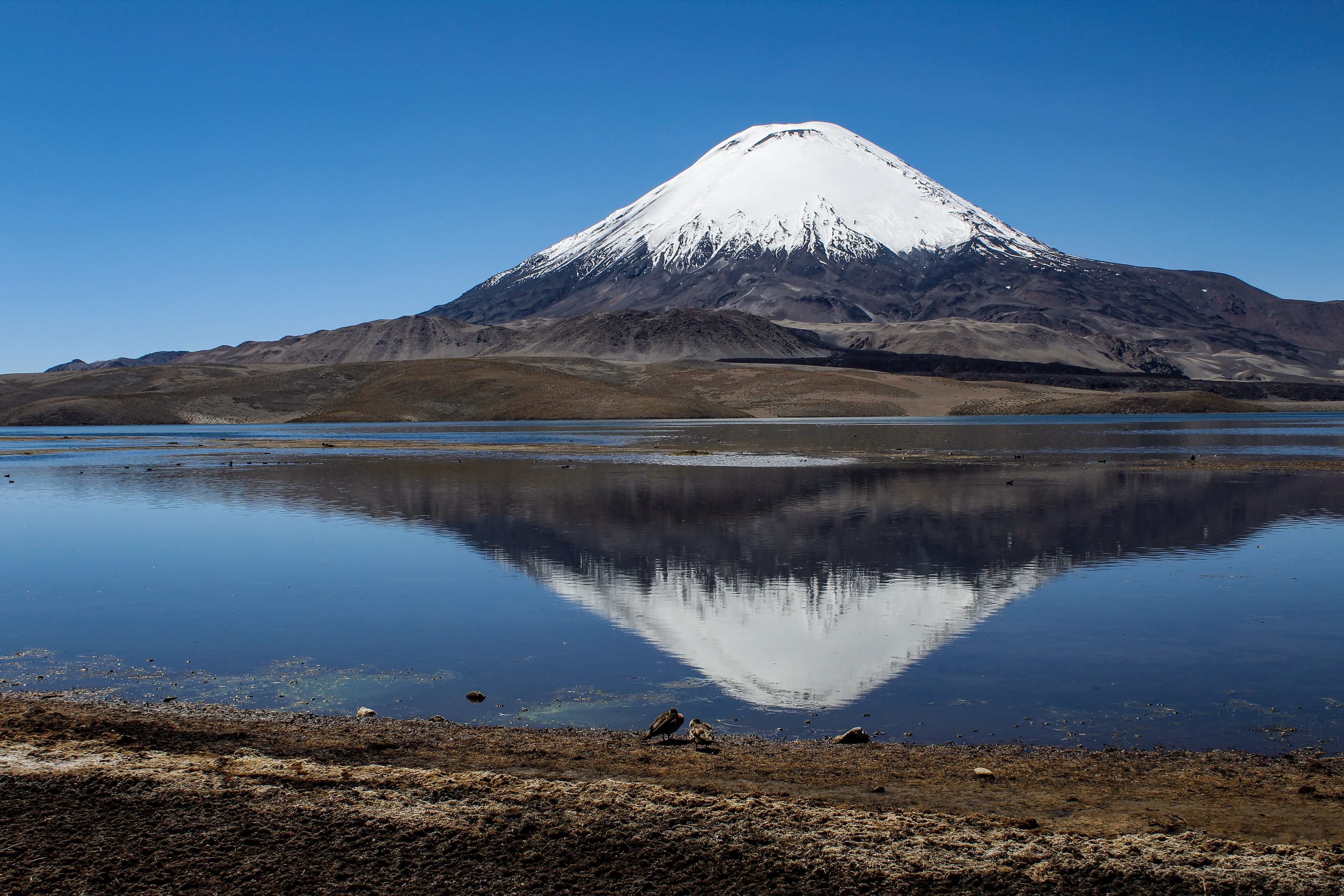 Lago Chungará y los volcanes Payachatas a más de 4,500 metros de altura.