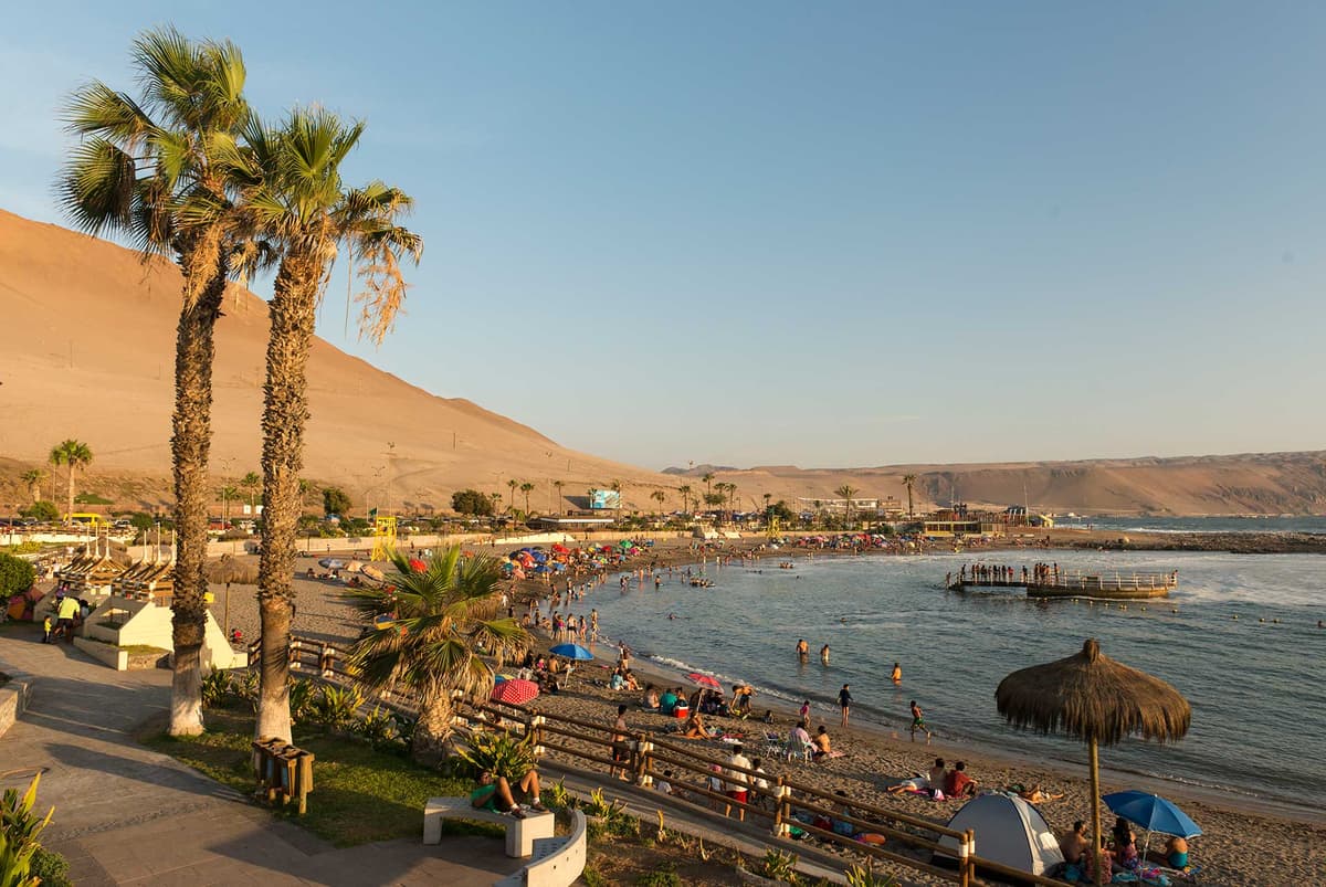 Guía de Arica 2026: Playas, cultura Chinchorro y el Morro - Imagen 2