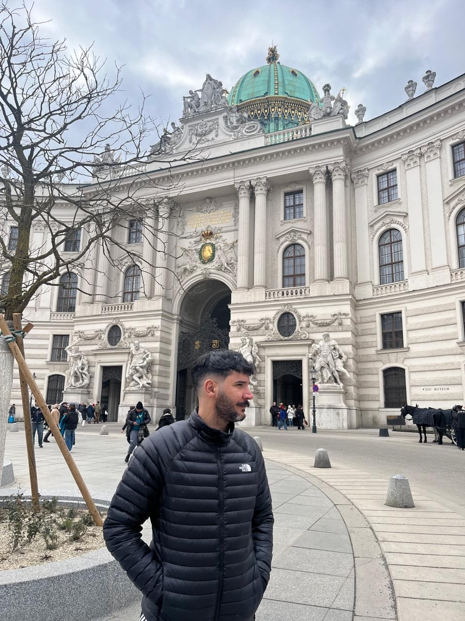 Travel to Vienna: complete guide 2026 - Imagen 9