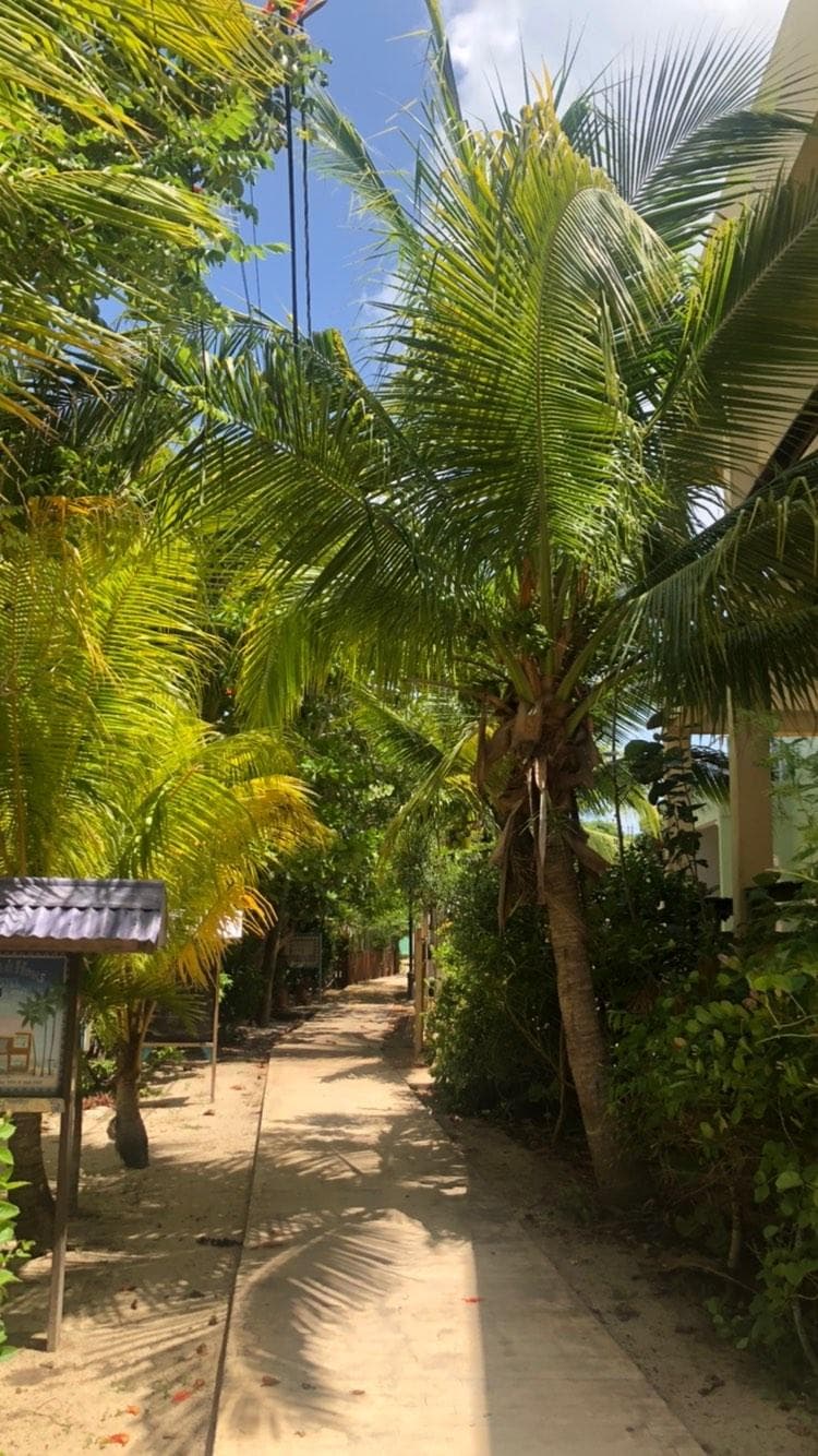 Placencia, Belize: Caribbean beaches, reefs, and relaxed local life - Imagen 4