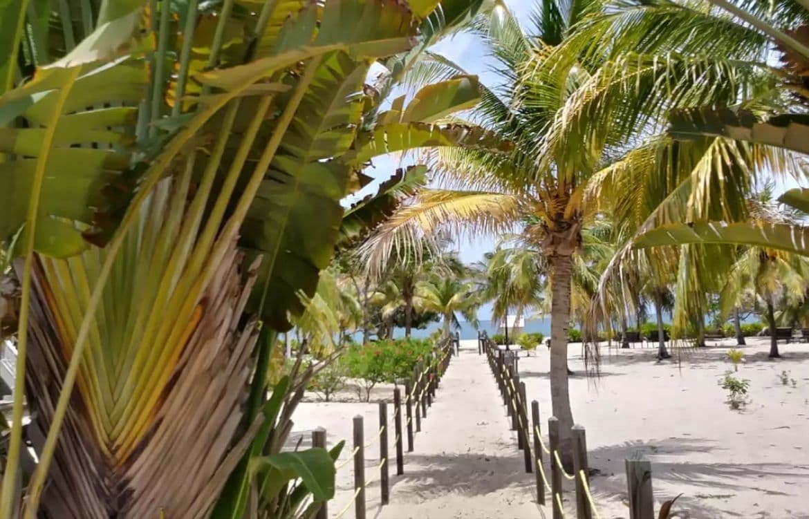 The beach of Placencia, Belize, is famous for being one of the longest in the country, stretching along a 25 km peninsula with clear sand and calm turquoise waters.
