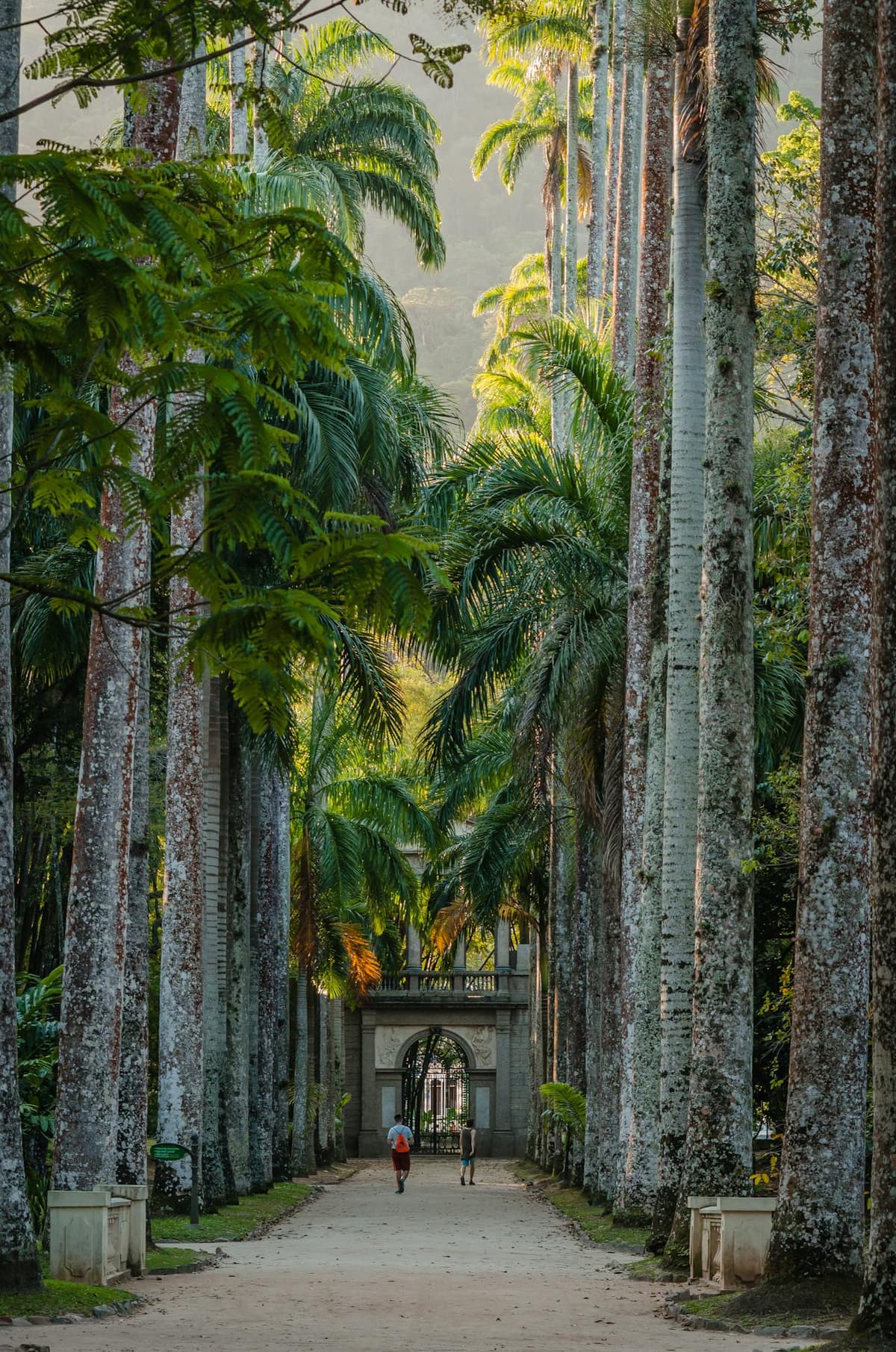 Rio de Janeiro the Wonderful City: Complete guide, 16 must-sees, neighborhoods and viewpoints, payments, getting around, and itineraries - Imagen 23