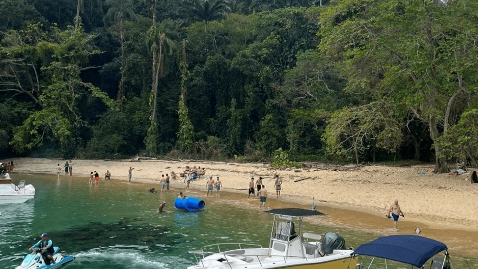 Ilha Grande is covered by the Atlantic Forest biome. It is a very dense and humid tropical jungle that reaches all the way to the sea.
