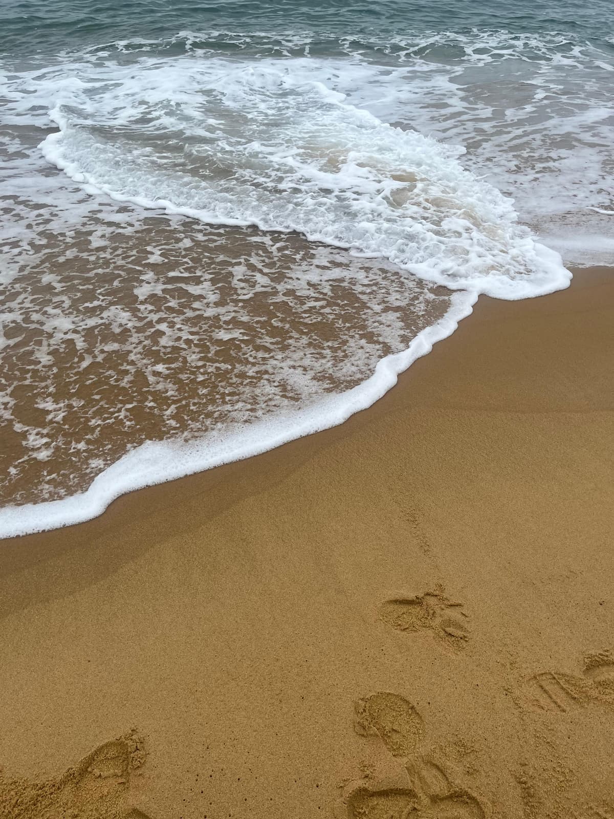 Ubatuba 2026: qué ver, mejores playas, Trilha das 7 Praias y dónde alojarse - Imagen 8