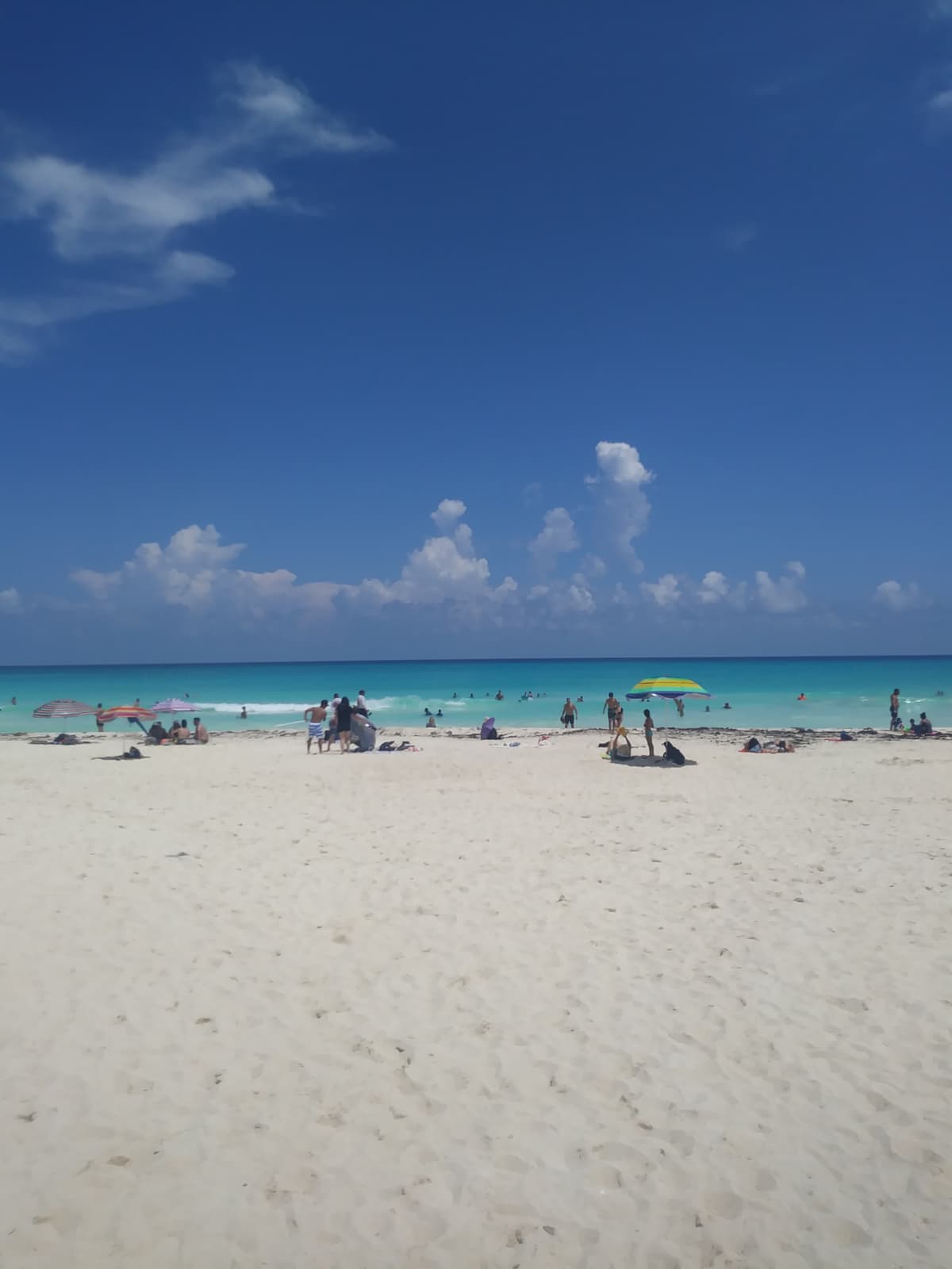 Cancun 2026 Travel Guide: Things to Do, Transportation, and Local Tips - Imagen 9