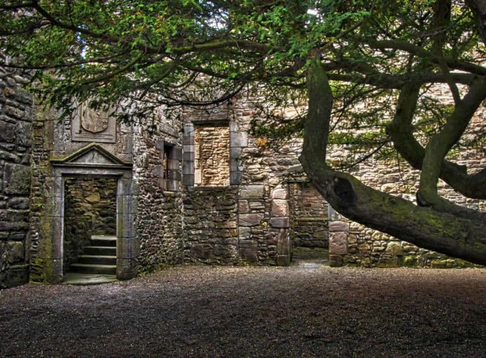 El histórico patio interior del Castillo de Craigmillar con el famoso árbol tejo centenario rodeado de murallas de piedra.