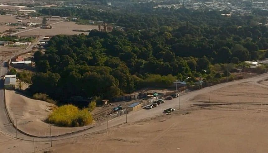Oasis en Pica, Chile.