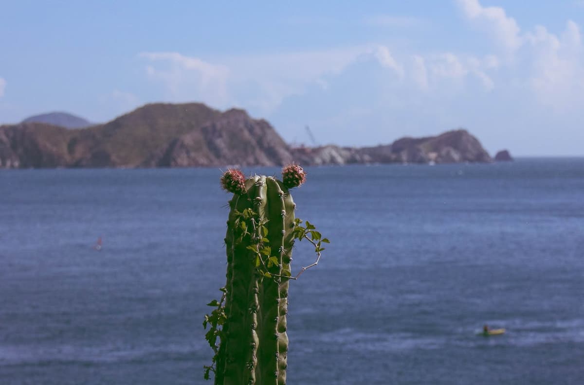 Qué hacer en Santa Marta: 9 imperdibles entre el Caribe, Tayrona y la selva - Imagen 9
