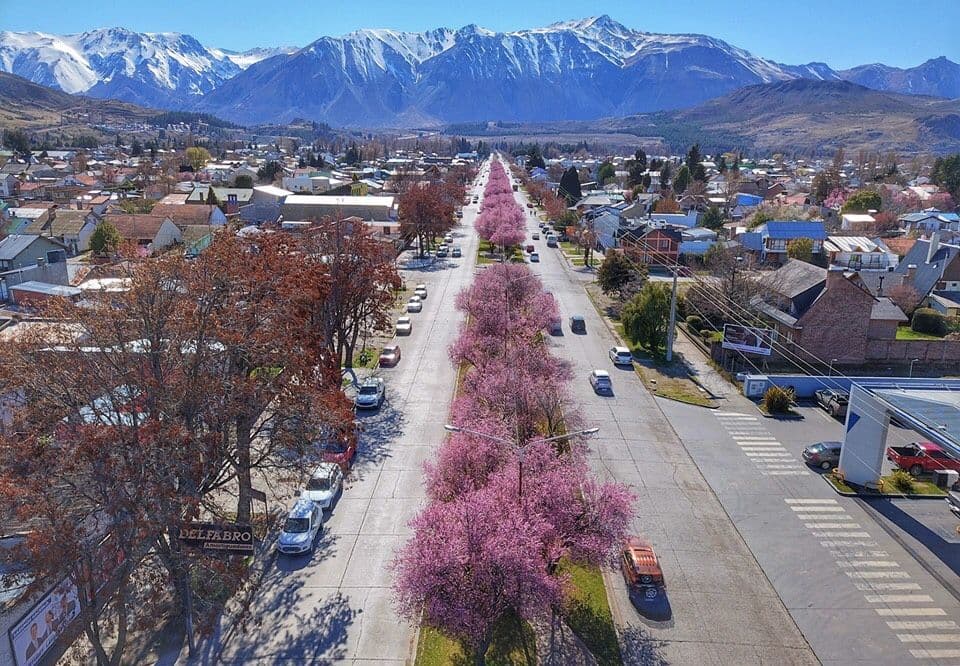 The must-sees of Esquel: guides for main attractions, national parks and mountain life