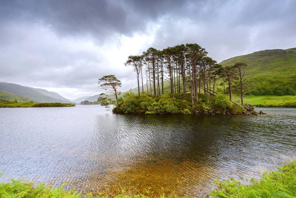 La isla Eilean na Moine. Escocia.