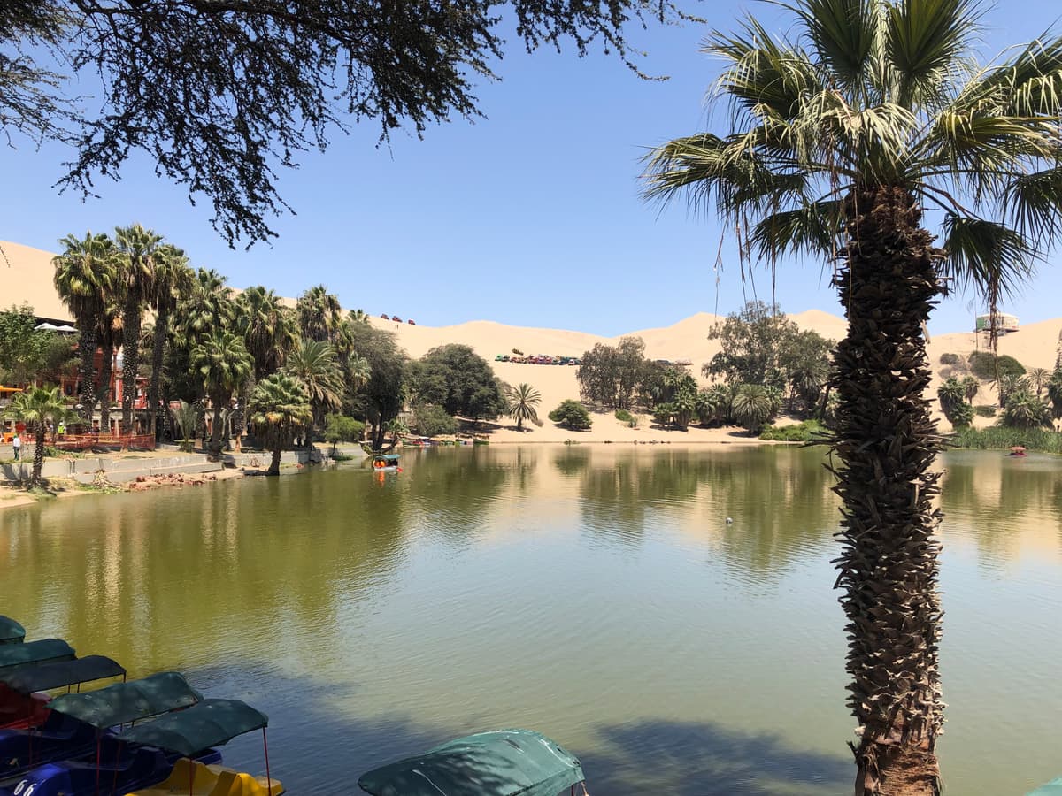 Guía de Ica y Huacachina 2026: Oasis, Buggies y Bodegas de Pisco - Imagen 5