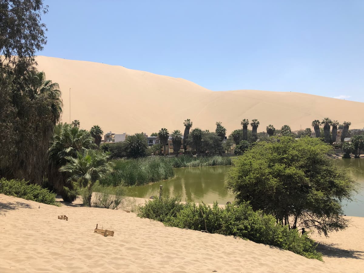 Guía de Ica y Huacachina 2026: Oasis, Buggies y Bodegas de Pisco - Imagen 6